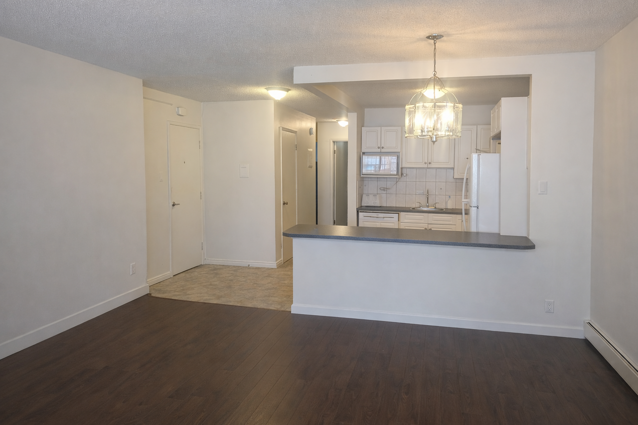 NEW FLOORING & PAINT! LARGE 2 BED/1 BATH APARTMENT IN MISSION! - Photo 3 of 14