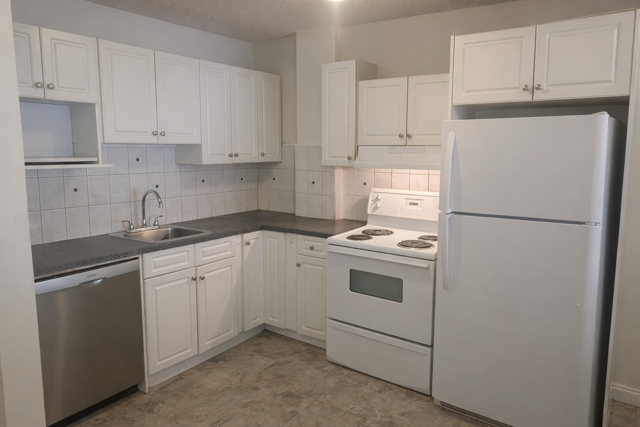 NEW FLOORING & PAINT! LARGE 2 BED/1 BATH APARTMENT IN MISSION! - Photo 4 of 14