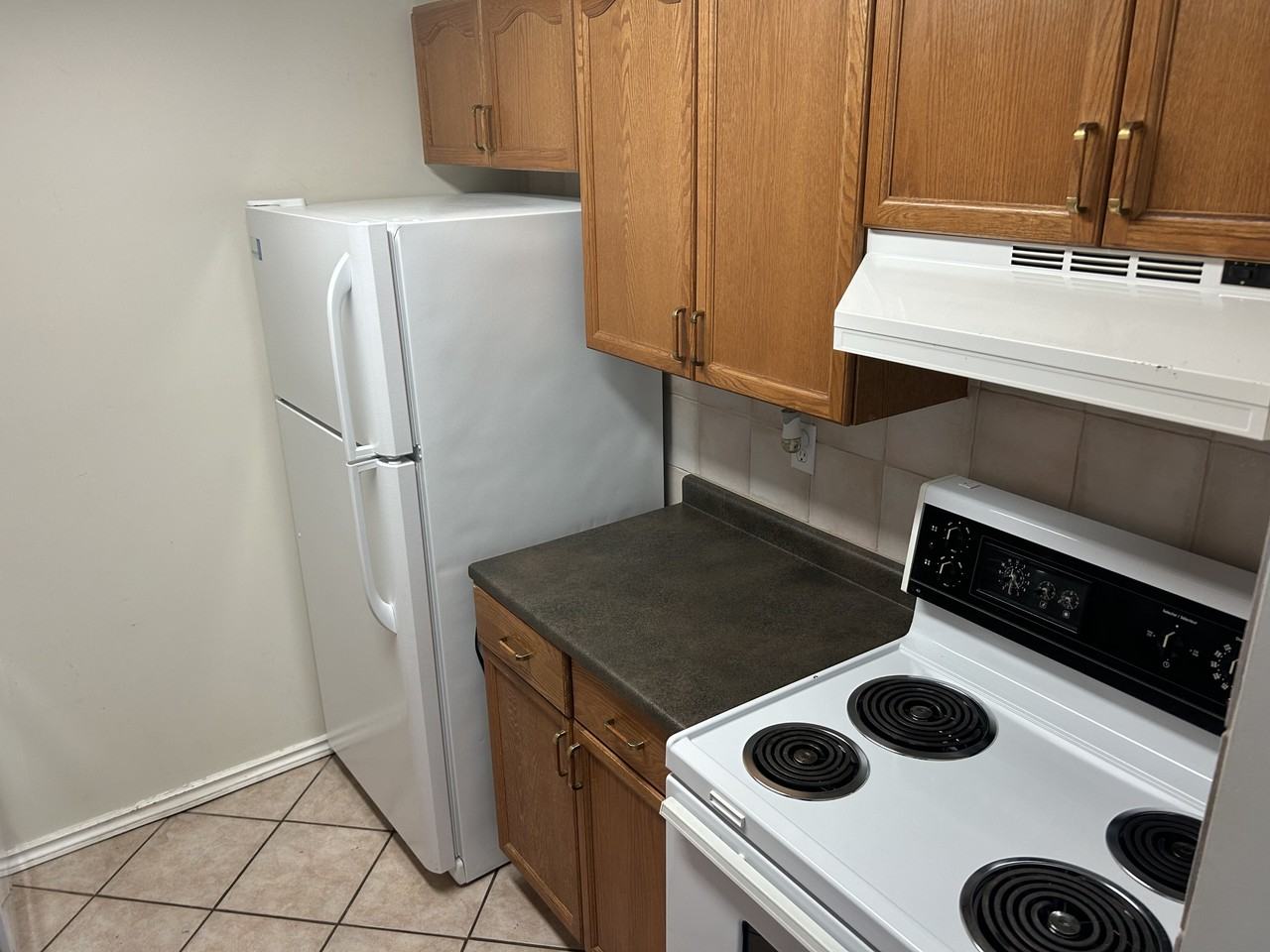 (PN 0582) Quiet & Immaculate 2 - Photo 4 of 18