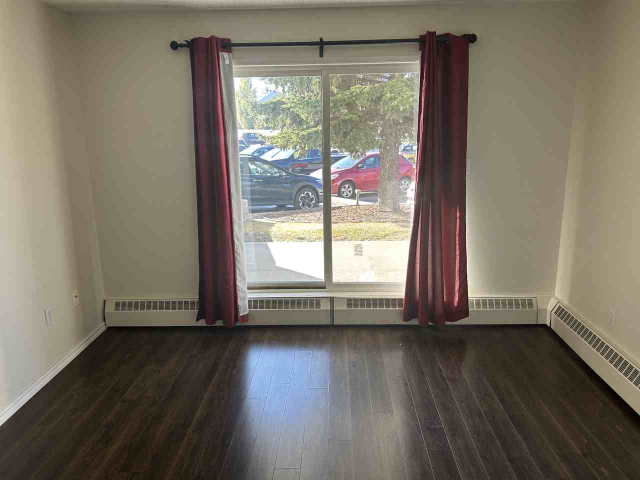 (PN 0582) Quiet & Immaculate 2 - Photo 5 of 18