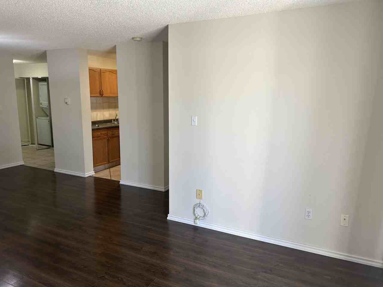 (PN 0582) Quiet & Immaculate 2 - Photo 6 of 18