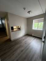 featured image of 11 Bartley St