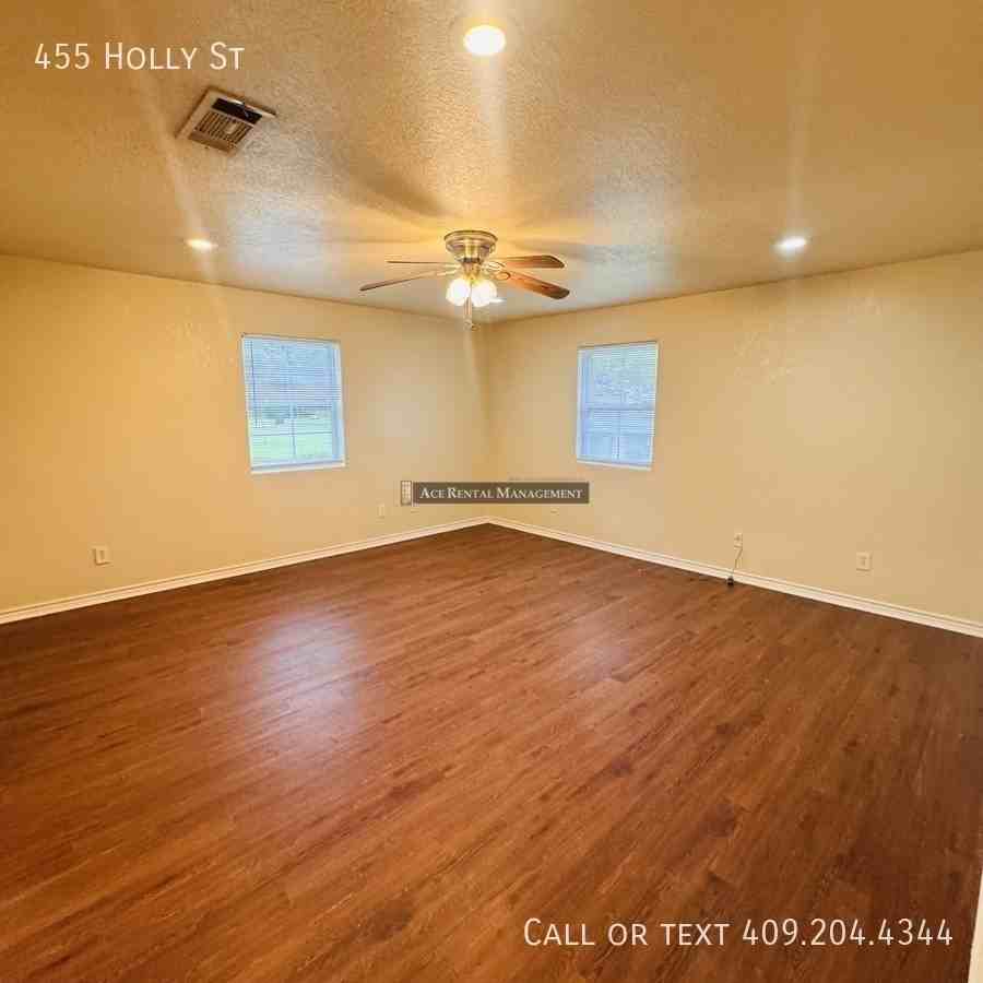 455 Holly St - Photo 3 of 12