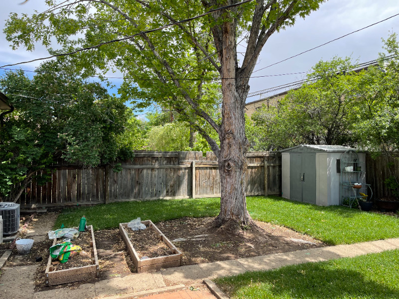 720 Poplar St - Photo 2 of 33