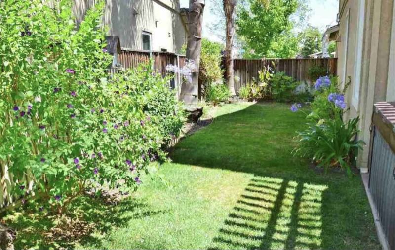 541 Jacaranda St - Photo 5 of 16