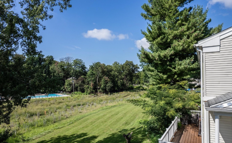 133 Hammershire Rd #C - Photo 6 of 28
