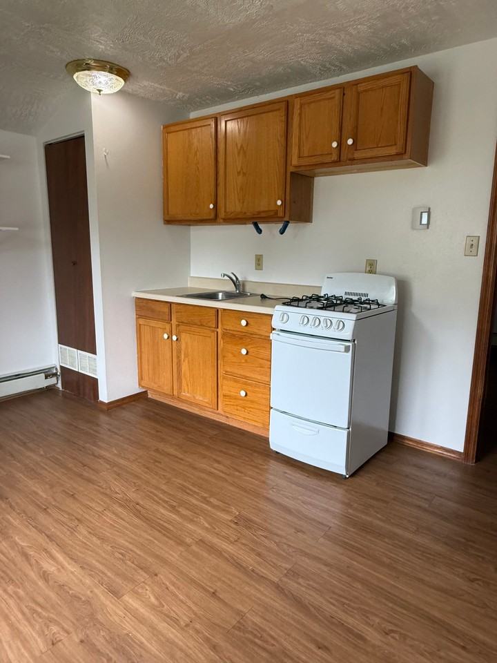 1003 1/2 Cook Ave #1003-5 - Photo 4 of 8