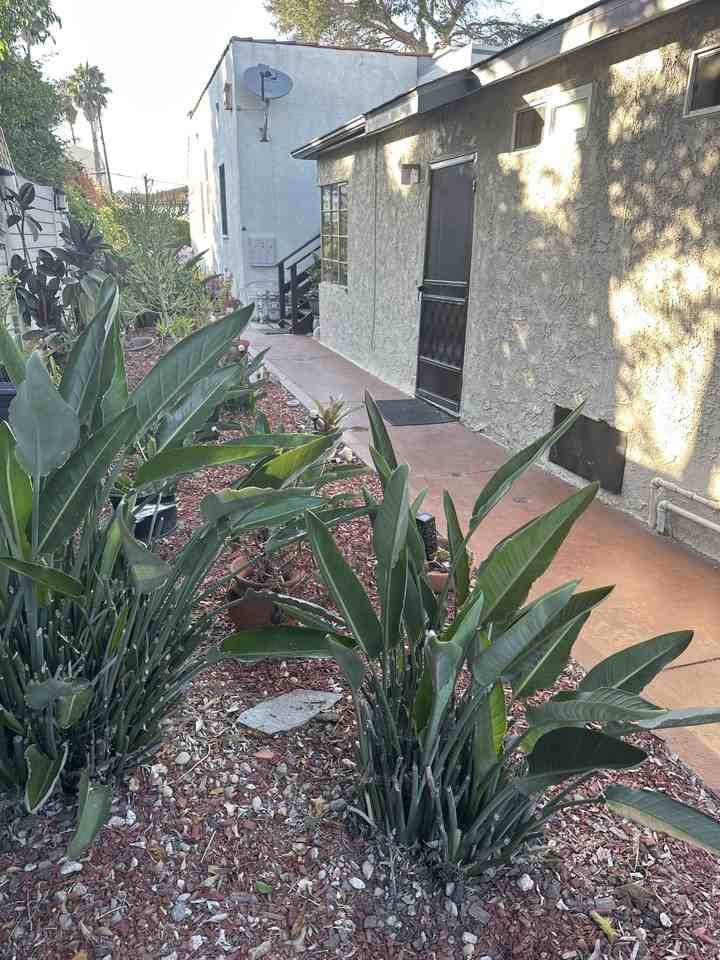710 Copeland Ct #A - Photo 3 of 14
