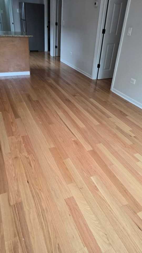 6834 S Dorchester Ave #2 - Photo 5 of 19
