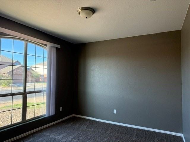 1513 San Miguel Ct - Photo 3 of 16