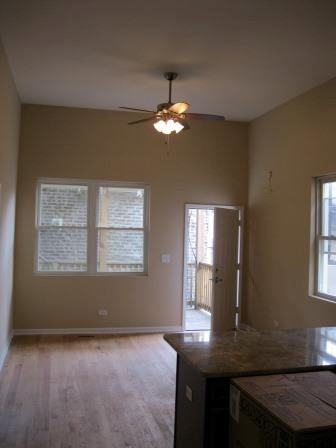 1001 W Cullerton St #2R - Photo 4 of 10