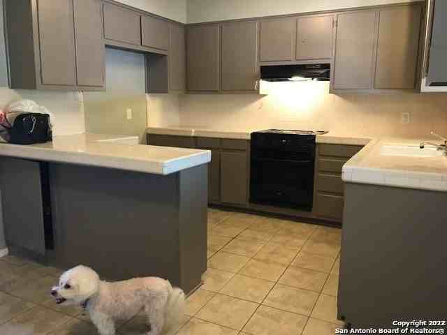 175 Harrigan Ct - Photo 3 of 13