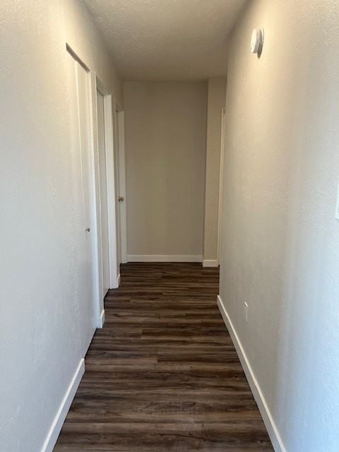 710 Dogwood Street - Photo 6 of 12