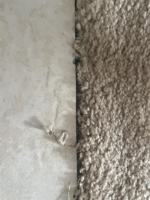 featured image of 2360 Crescent Rd #2360