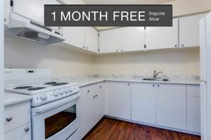 featured image of 1370 Davie St