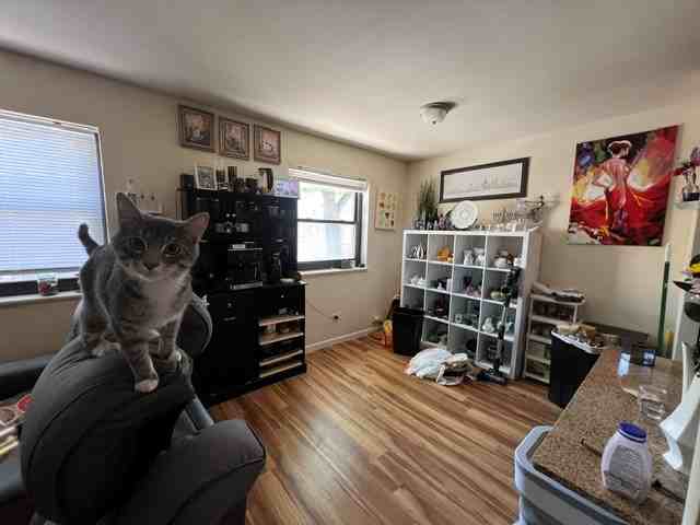 7522 North Greenview Avenue #209 - Photo 4 of 10