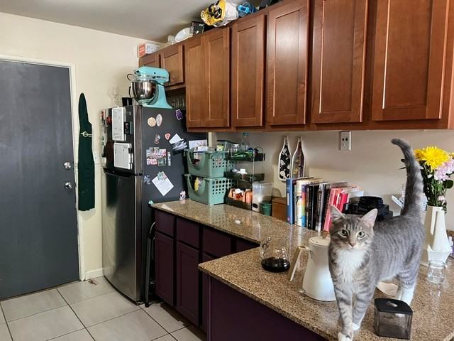 7522 North Greenview Avenue #209 - Photo 3 of 10
