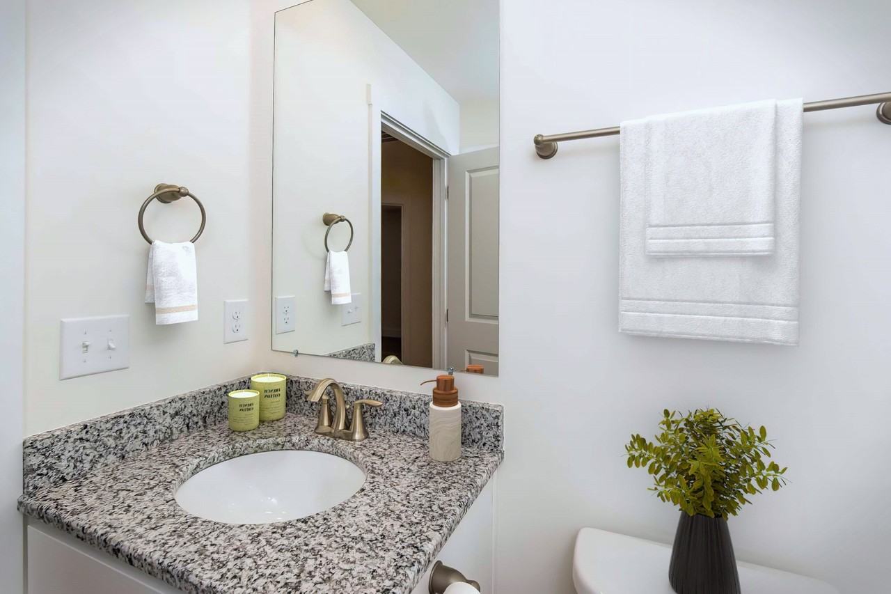7322 Acorn Valley Lane - Photo 4 of 19