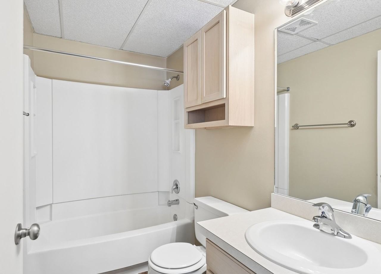 White Pines Apartments (White Pines Apts LLC) - Photo 7 of 50
