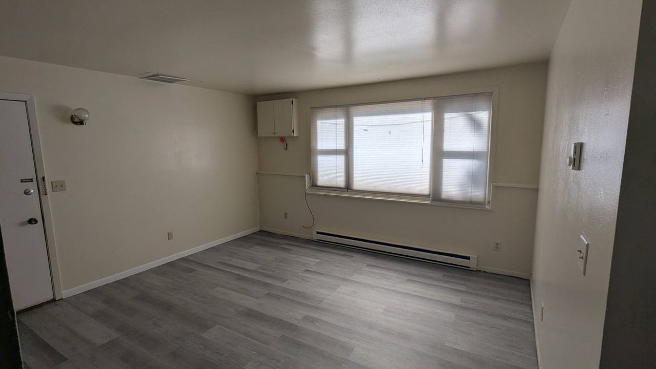 505 Chestnut St - Photo 5 of 12