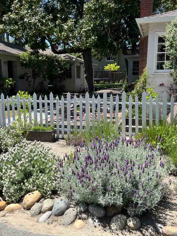 947 Dewing Avenue - Photo 3 of 15