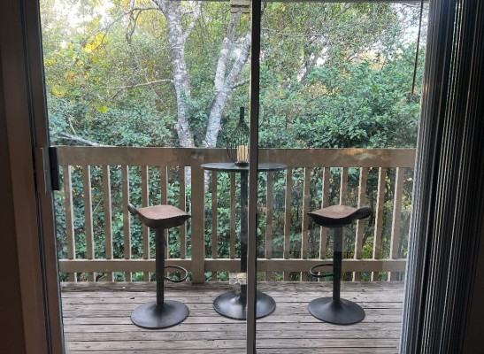 223 Sandlewood Trl #223 - Photo 5 of 12