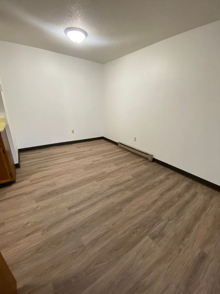 1310 28th Ave S - Photo 6 of 26