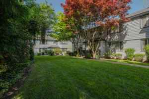 featured image of 295 3rd St