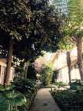 APT SAN MARCOS - Photo 1 of 1