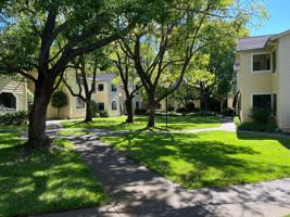 featured image of 234 Soscol Ave