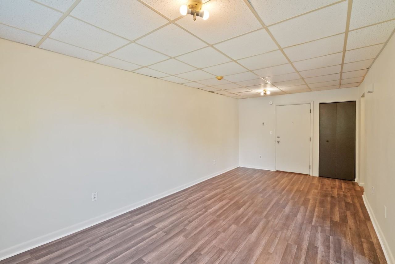 161 Hall Avenue - Photo 5 of 37
