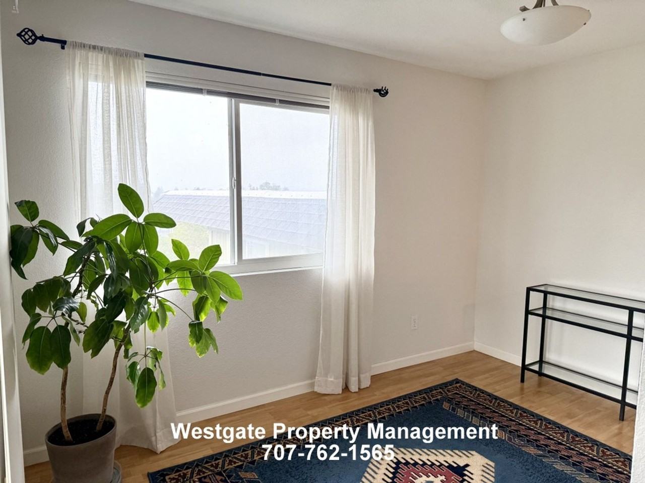 142 Cherry St - Photo 7 of 16