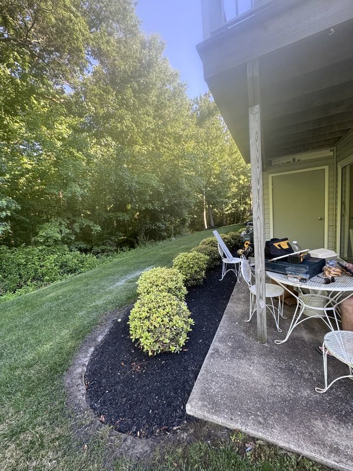 1403 Squirrel Rd #1403 - Photo 3 of 10