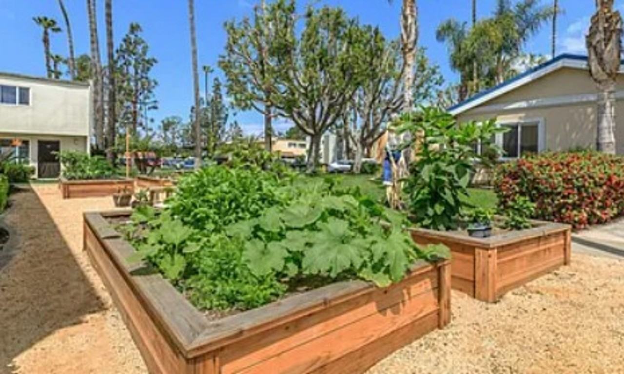 Villa Pacific Townhomes - Photo 4 of 11