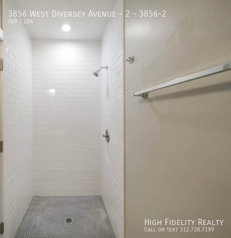 3856 W Diversey Ave #3856-2 - Photo 6 of 6