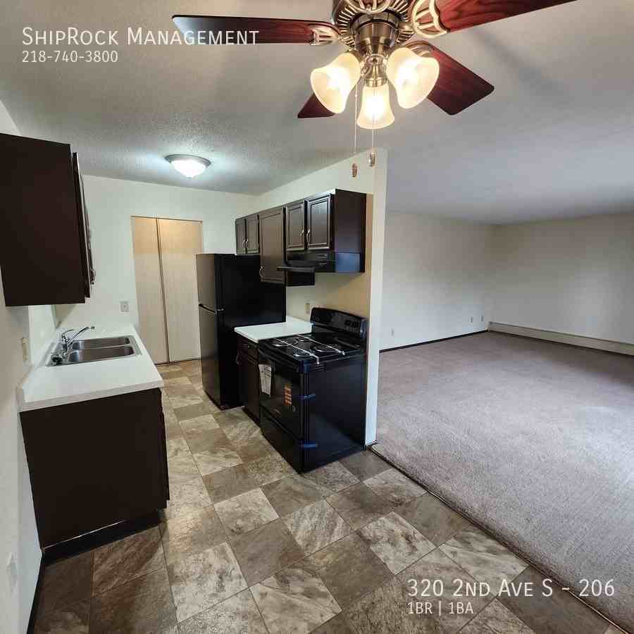 320 2nd Ave S #206 - Photo 5 of 14