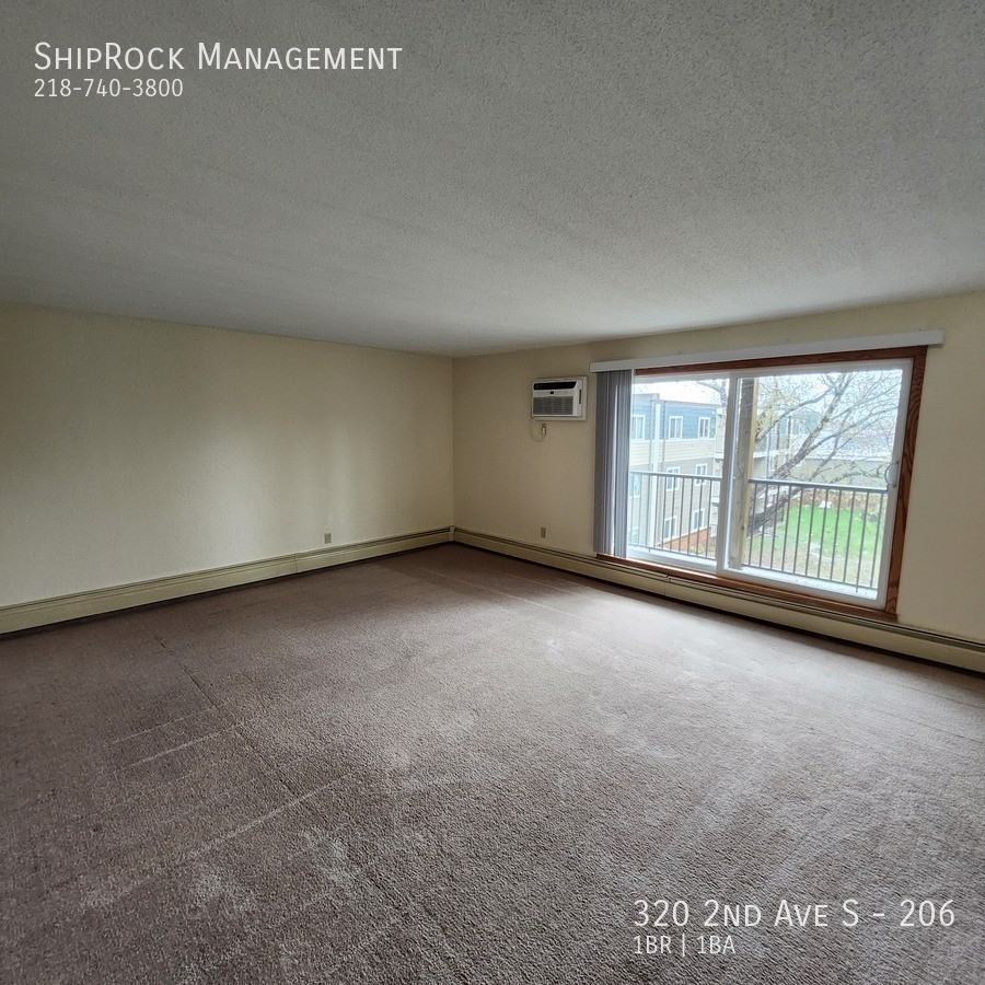 320 2nd Ave S #206 - Photo 6 of 14