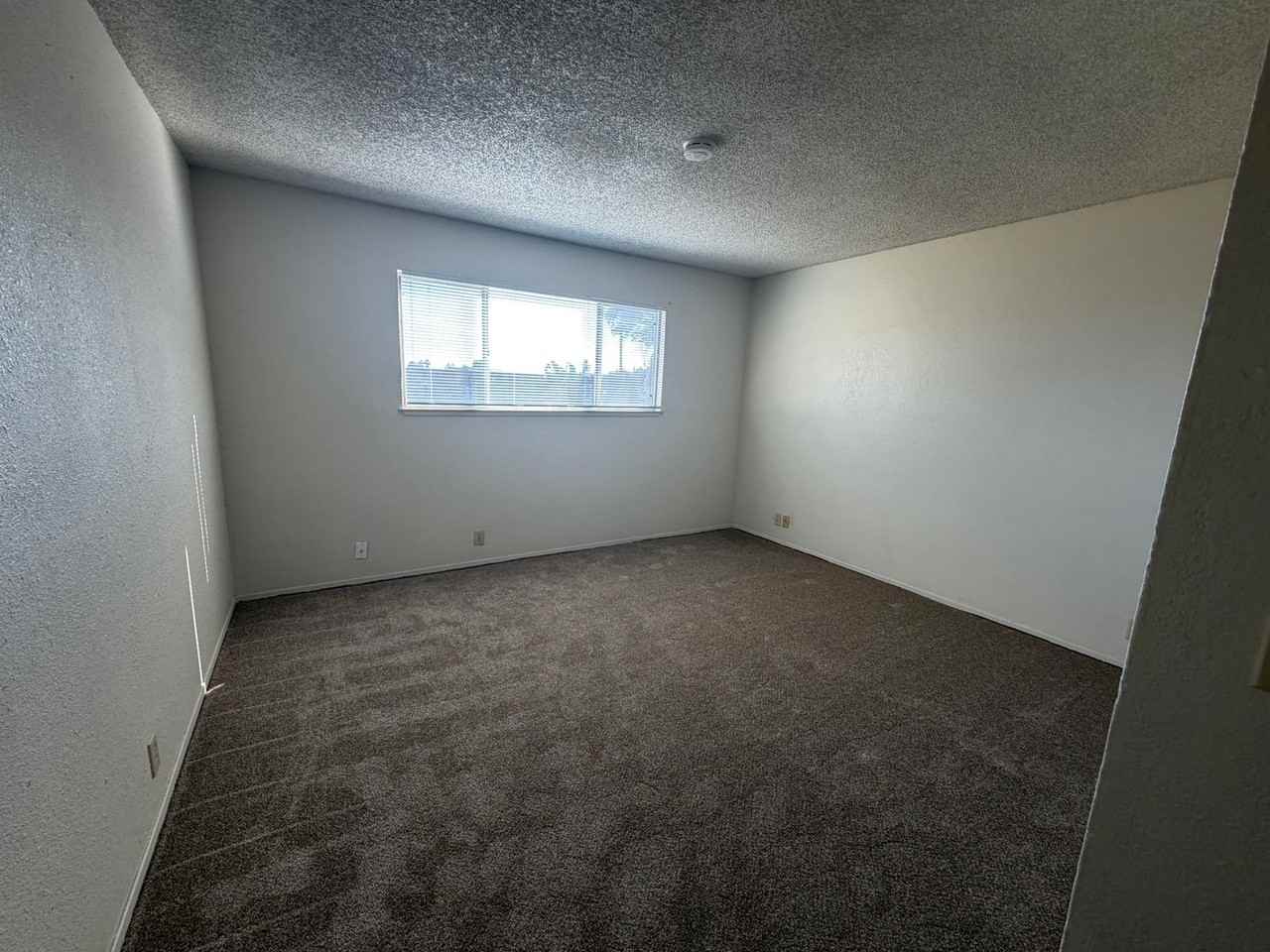 612 Wigeon Way - Photo 4 of 14