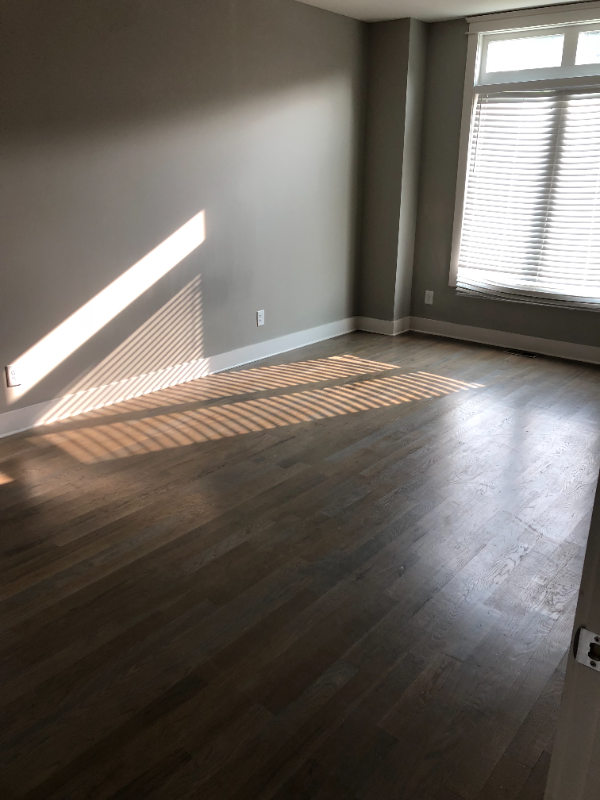 804 Lena St - Photo 3 of 22