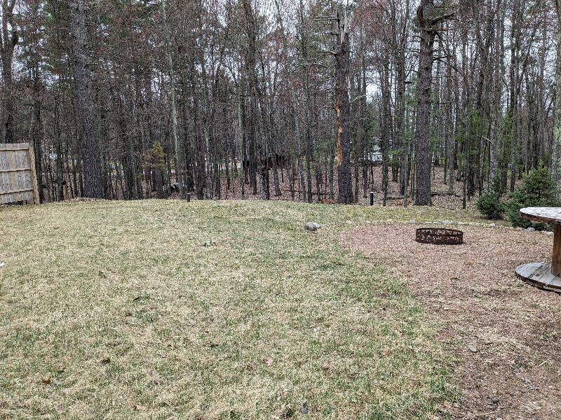 9815 Wintergreen Dr - Photo 4 of 28