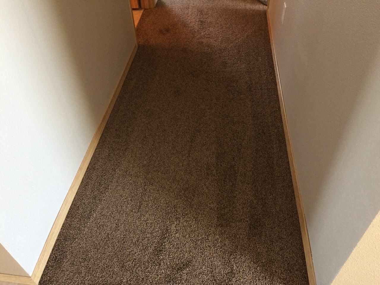 1900 Leanne Ave - Photo 6 of 20