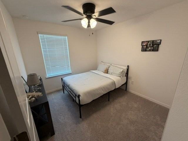 10708 Ironwood Tree Way - Photo 7 of 10