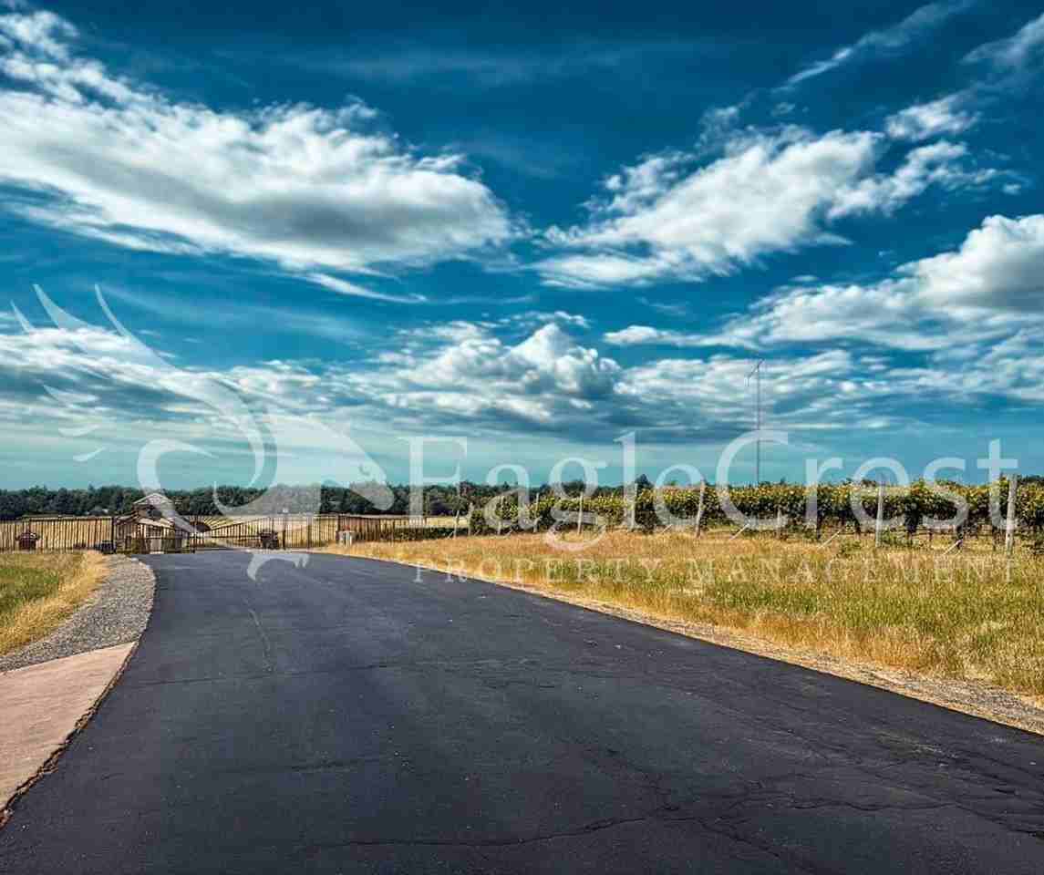 44 Vinehill Dr - Photo 7 of 17