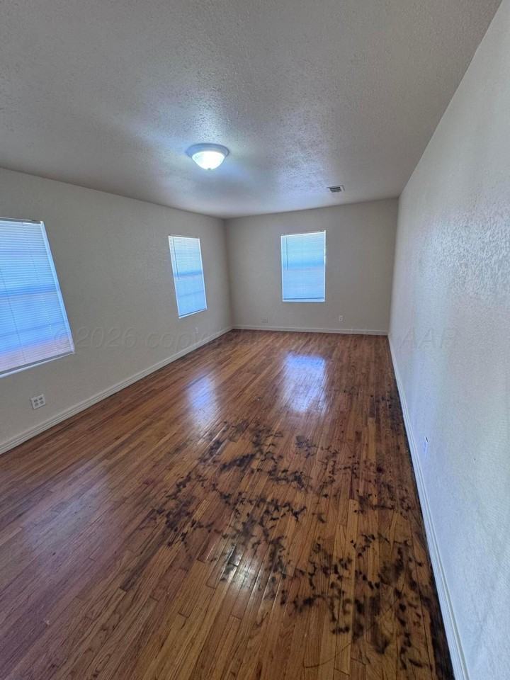 3401 Lynette Dr - Photo 4 of 23