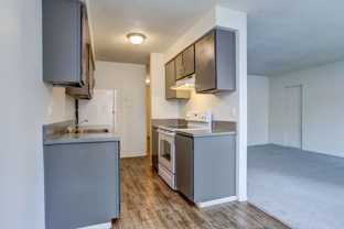 119 - Tyee Apartments - Photo 1 of 1