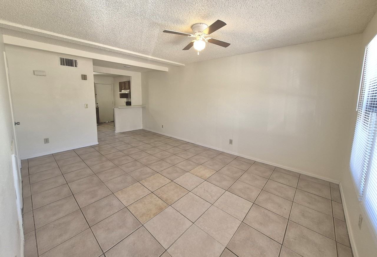 1017 N 6th Ave #1 - Photo 3 of 18
