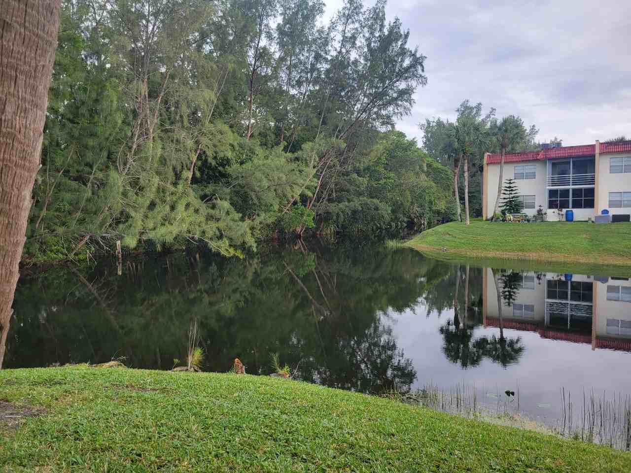 356 Lake Dora Dr