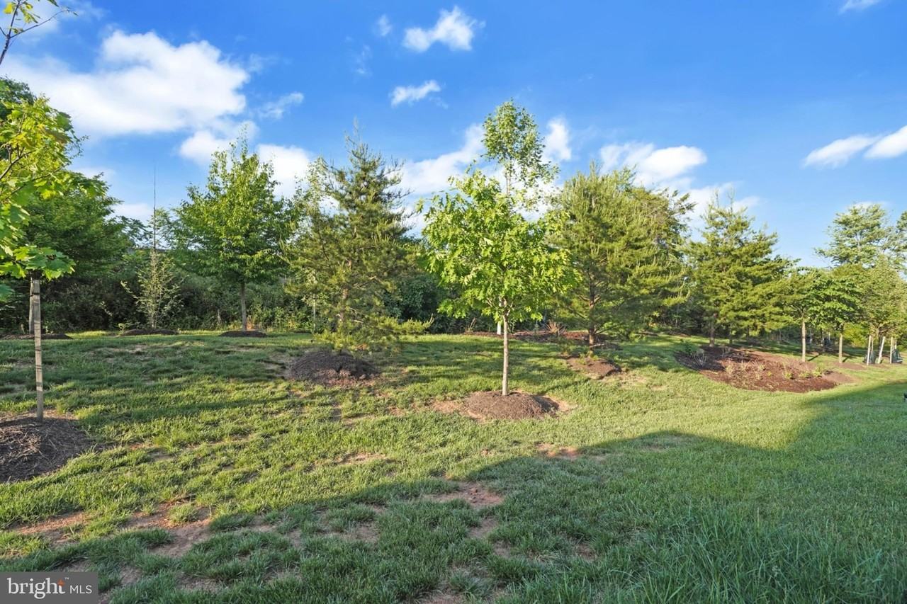 14470 Nebbiolo Dr - Photo 7 of 37