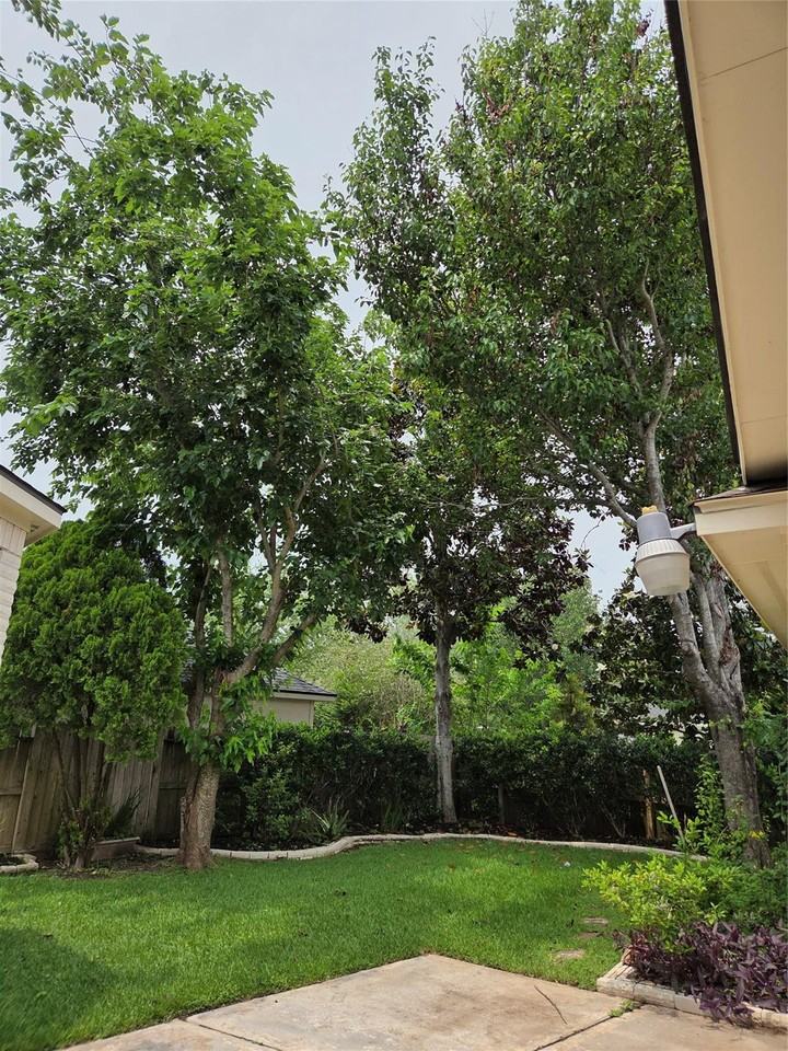 Lakeside Meadow Dr - Photo 6 of 8