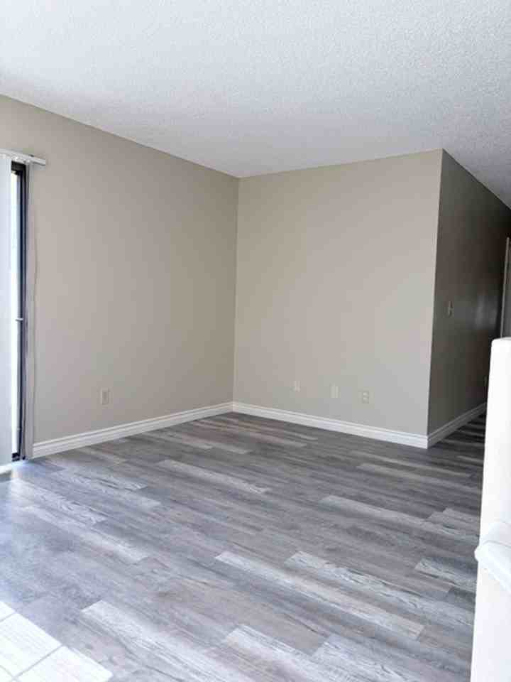 377 Puente - Photo 3 of 26